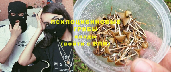 соль ск Алексеевка