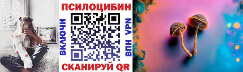 Псилоцибиновые грибы мицелий  Жуковский 